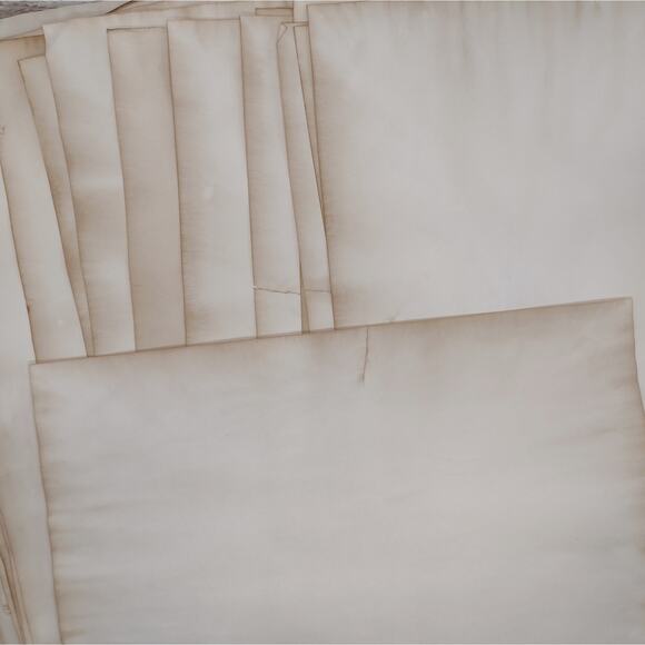 Dyed Paper Seconds: Imperfect Eco Dyed Paper Mix with Dictionary Prints - Picture 11 of 13